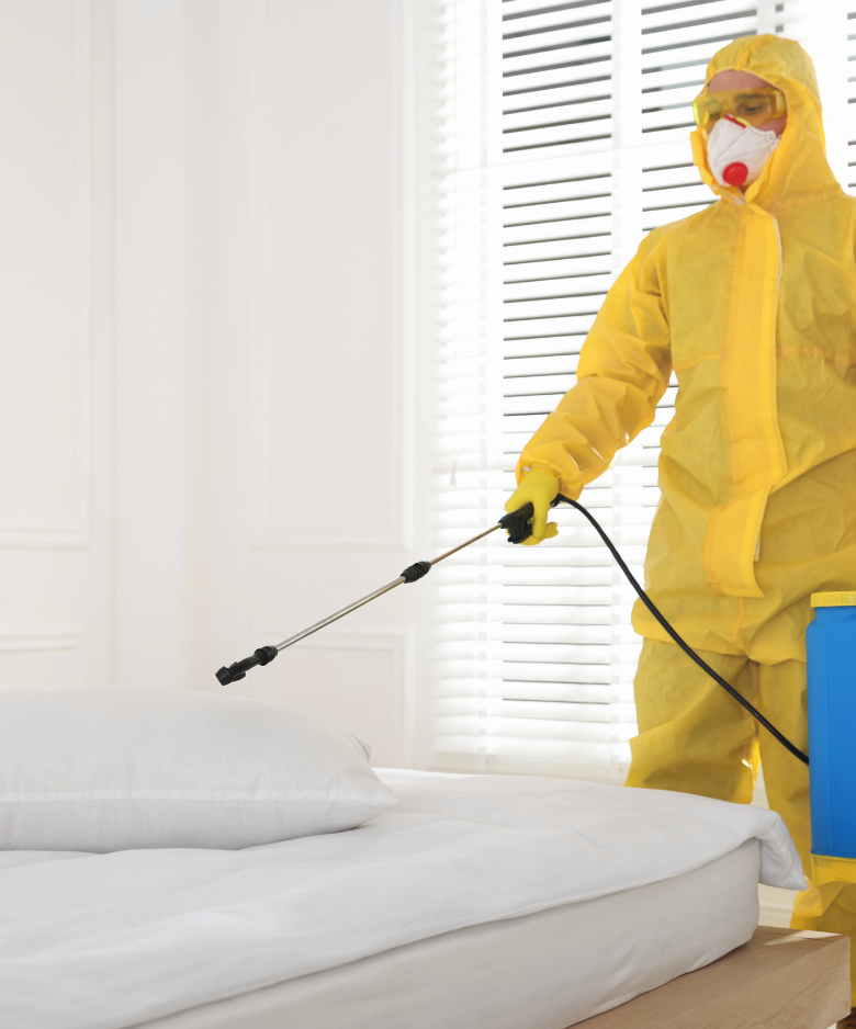 Professional Pest Control Team in Goodwood
